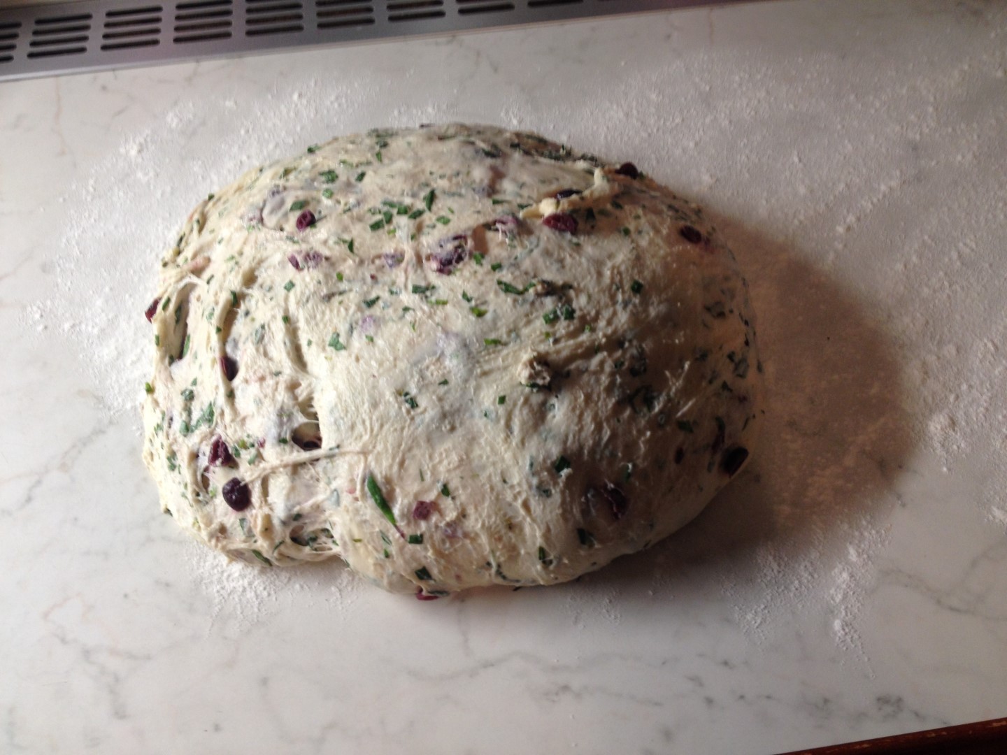 Tarragon and Cranberries Bread The Fresh Loaf
